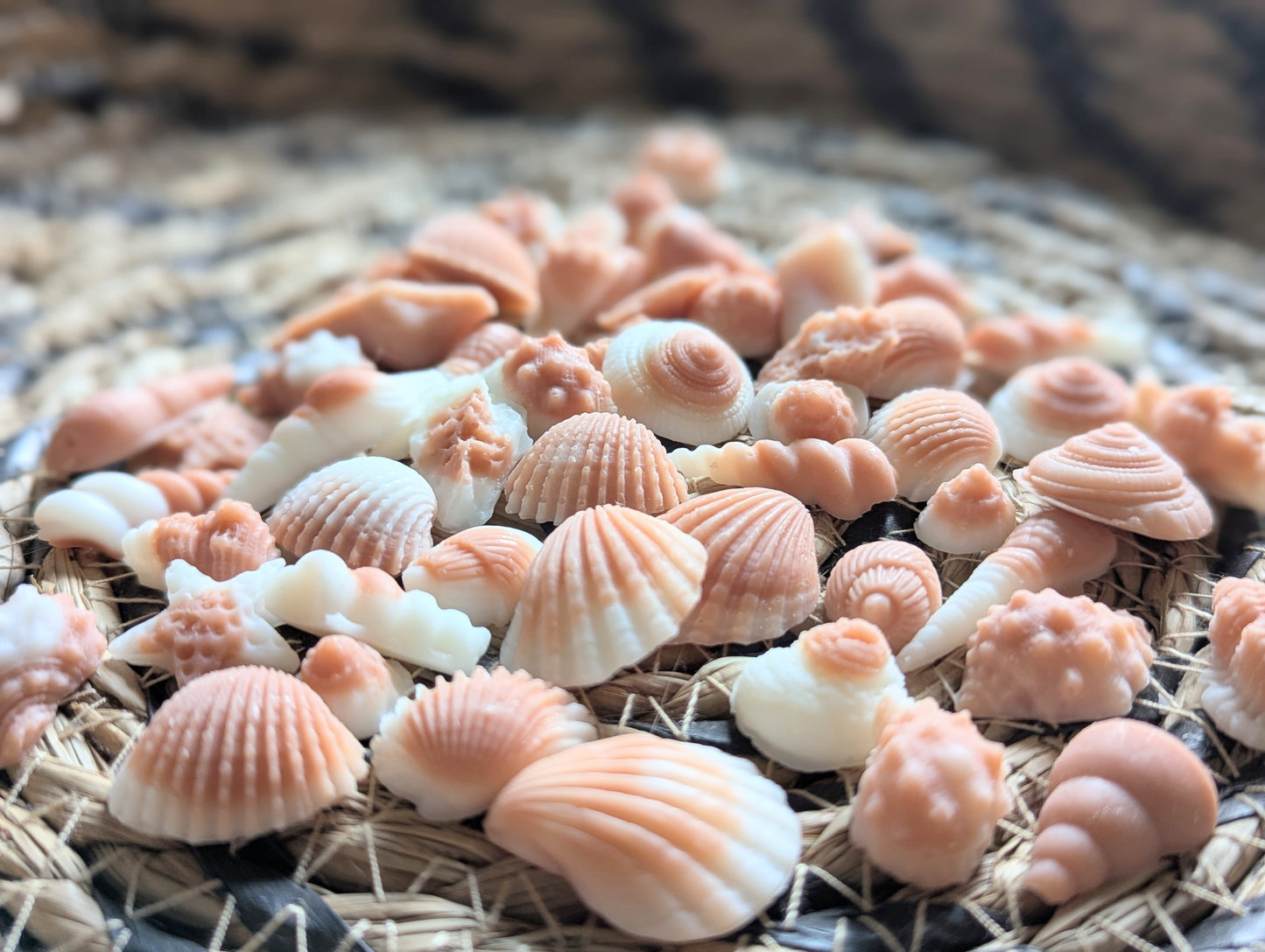 Seashell Wax Melts